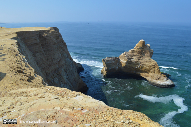 Reserva Nacional de Paracas